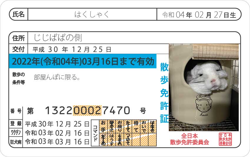 ペット用免許証ブルー