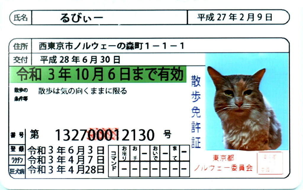 ペット用免許証グリーン