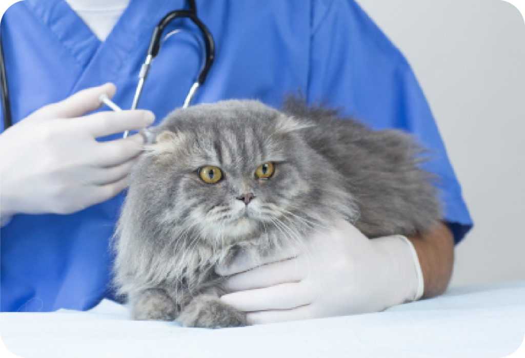 接種予定日のお知らせ